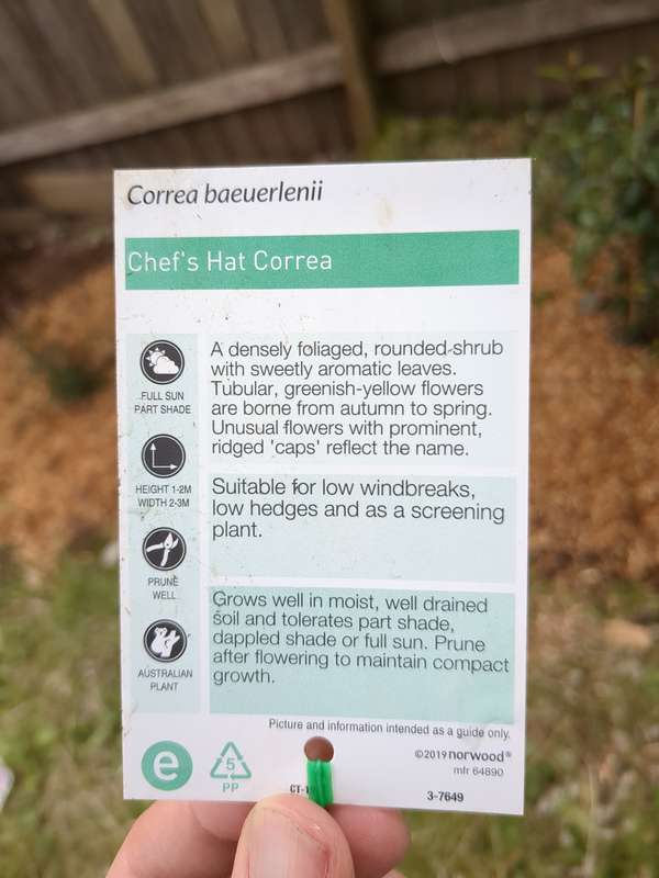 correa_chefs_hat_label