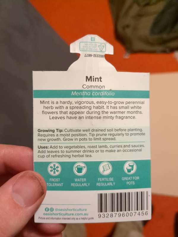 Photo of mint label