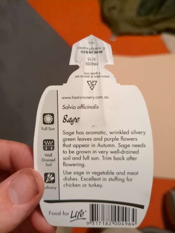 Photo of sage label