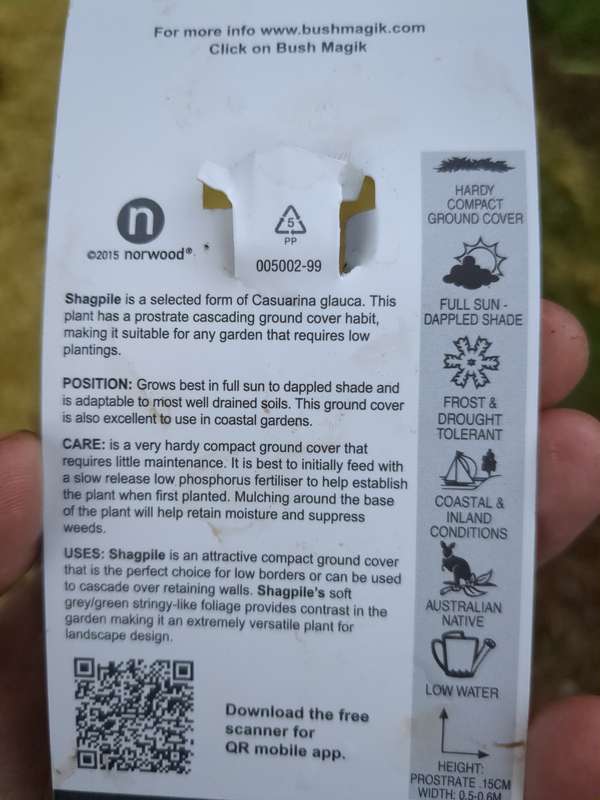 Photo of the shagpile label