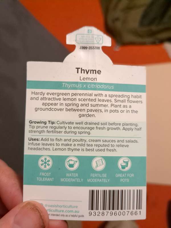 Photo of the thyme label