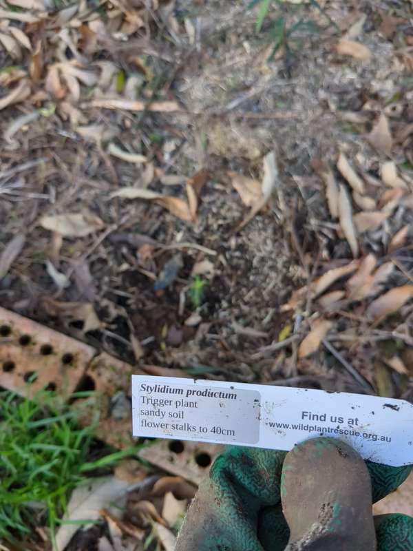 Photo of trigger productum label