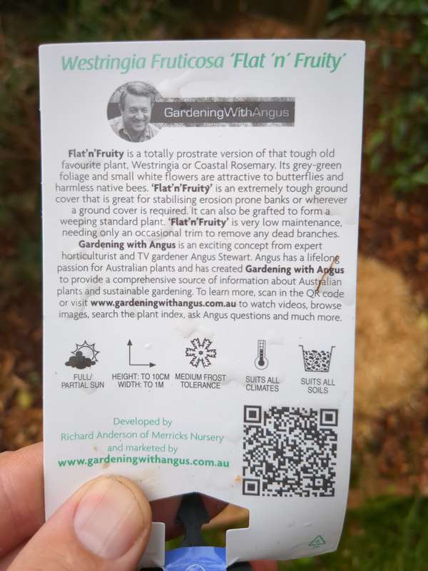 Photo of Westringia label