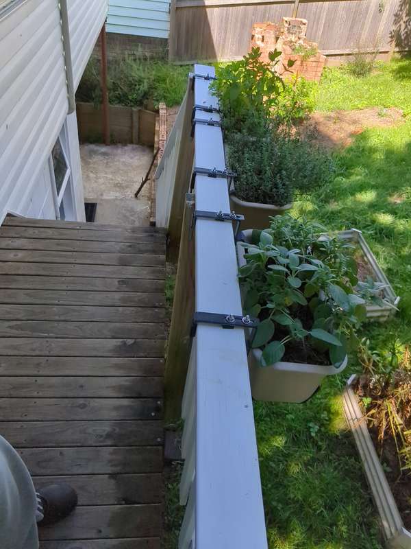 Planter boxes in region 6a during February 2024